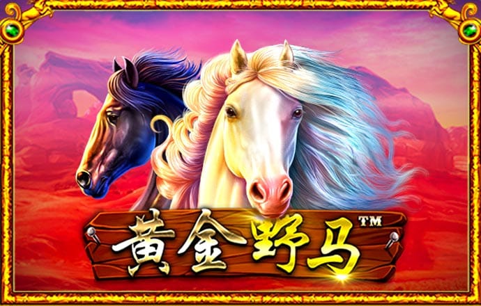EMC易倍体育官方